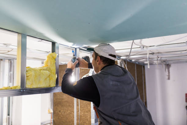 Best Insulation Installation Services in Stafford Courthouse, VA