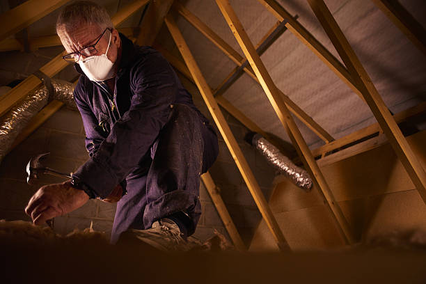 Best Insulation Installation Services in Stafford Courthouse, VA